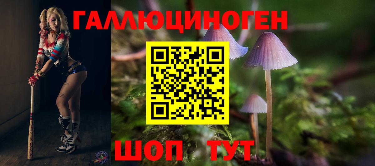 Галлюциногенные грибы Psilocybine cubensis Родники
